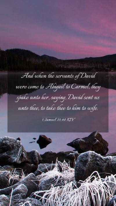 Picture 03 - 1 Samuel 25:40 KJV Mobile Phone Wallpaper - And when the servants of David were come to - Mobile Bible Verse Wallpaper