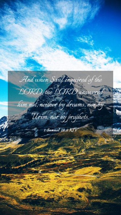 Picture 03 - 1 Samuel 28:6 KJV Mobile Phone Wallpaper - And when Saul inquired of the LORD, the LORD - Mobile Bible Verse Wallpaper