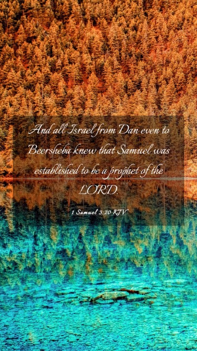 Picture 03 - 1 Samuel 3:20 KJV Mobile Phone Wallpaper - And all Israel from Dan even to Beersheba knew - Mobile Bible Verse Wallpaper