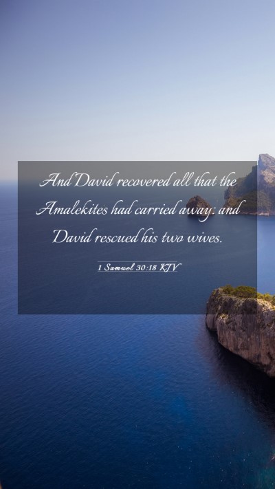 Picture 03 - 1 Samuel 30:18 KJV Mobile Phone Wallpaper - And David recovered all that the Amalekites had - Mobile Bible Verse Wallpaper