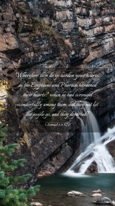 Picture 03 - 1 Samuel 6:6 KJV Mobile Phone Wallpaper - Wherefore then do ye harden your hearts, as the - Mobile Bible Verse Wallpaper