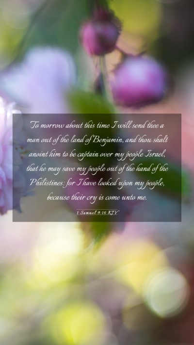 Picture 03 - 1 Samuel 9:16 KJV Mobile Phone Wallpaper - To morrow about this time I will send thee a man - Mobile Bible Verse Wallpaper