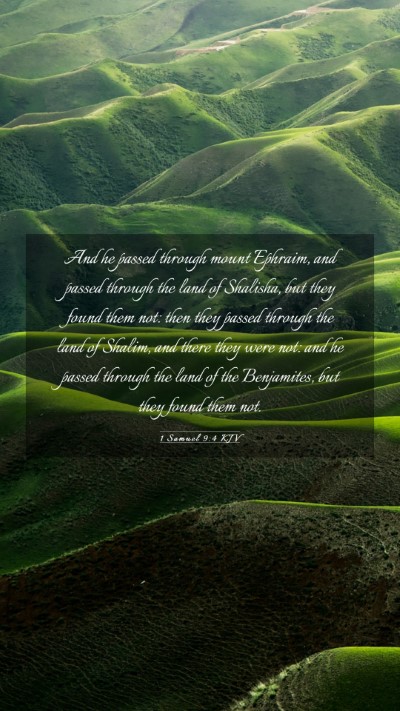 Picture 03 - 1 Samuel 9:4 KJV Mobile Phone Wallpaper - And he passed through mount Ephraim, and passed - Mobile Bible Verse Wallpaper
