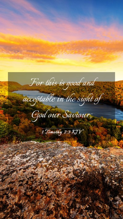 Picture 03 - 1 Timothy 2:3 KJV Mobile Phone Wallpaper - For this is good and acceptable in the sight of - Mobile Bible Verse Wallpaper