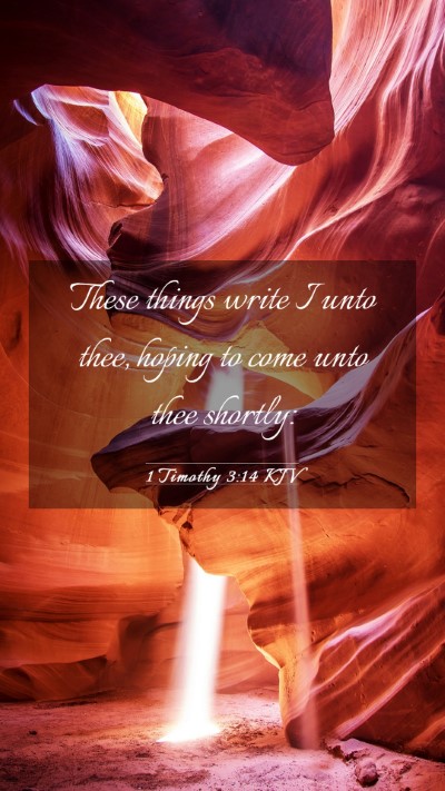 Picture 03 - 1 Timothy 3:14 KJV Mobile Phone Wallpaper - These things write I unto thee, hoping to come - Mobile Bible Verse Wallpaper