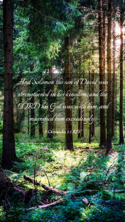 Picture 03 - 2 Chronicles 1:1 KJV Mobile Phone Wallpaper - And Solomon the son of David was strengthened in - Mobile Bible Verse Wallpaper