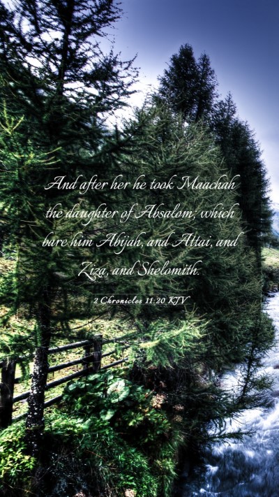 Picture 03 - 2 Chronicles 11:20 KJV Mobile Phone Wallpaper - And after her he took Maachah the daughter of - Mobile Bible Verse Wallpaper