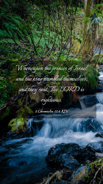Picture 03 - 2 Chronicles 12:6 KJV Mobile Phone Wallpaper - Whereupon the princes of Israel and the king - Mobile Bible Verse Wallpaper