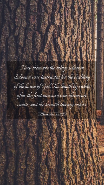 Picture 03 - 2 Chronicles 3:3 KJV Mobile Phone Wallpaper - Now these are the things wherein Solomon was - Mobile Bible Verse Wallpaper