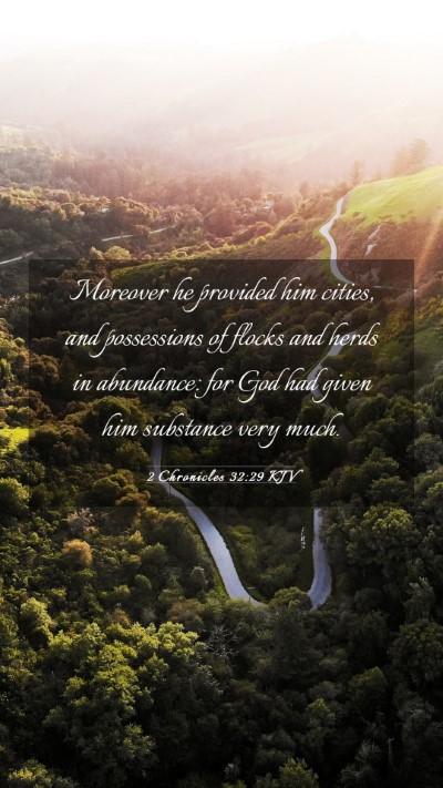 Picture 03 - 2 Chronicles 32:29 KJV Mobile Phone Wallpaper - Moreover he provided him cities, and possessions - Mobile Bible Verse Wallpaper