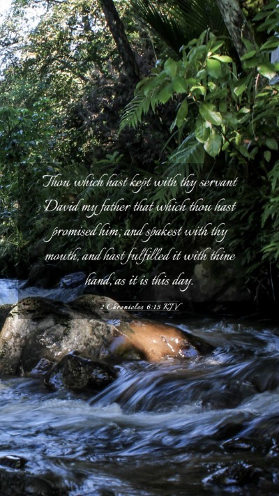 Picture 03 - 2 Chronicles 6:15 KJV Mobile Phone Wallpaper - Thou which hast kept with thy servant David my - Mobile Bible Verse Wallpaper