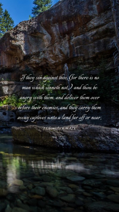 Picture 03 - 2 Chronicles 6:36 KJV Mobile Phone Wallpaper - If they sin against thee, (for there is no man - Mobile Bible Verse Wallpaper