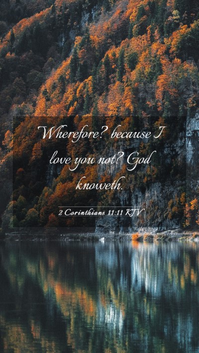 Picture 03 - 2 Corinthians 11:11 KJV Mobile Phone Wallpaper - Wherefore? because I love you not? God - Mobile Bible Verse Wallpaper