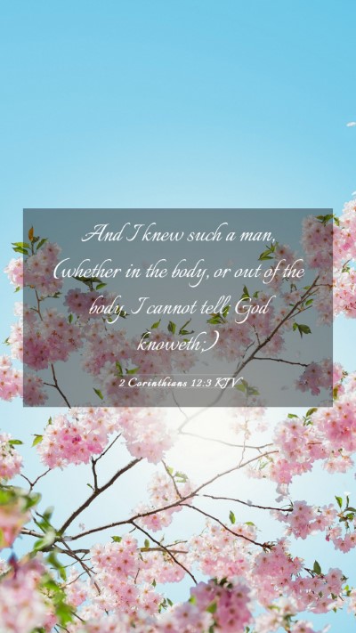 Picture 03 - 2 Corinthians 12:3 KJV Mobile Phone Wallpaper - And I knew such a man, (whether in the body, or - Mobile Bible Verse Wallpaper