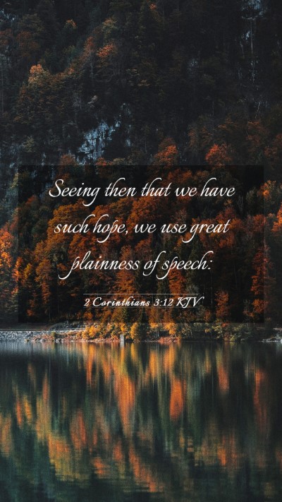 Picture 03 - 2 Corinthians 3:12 KJV Mobile Phone Wallpaper - Seeing then that we have such hope, we use great - Mobile Bible Verse Wallpaper