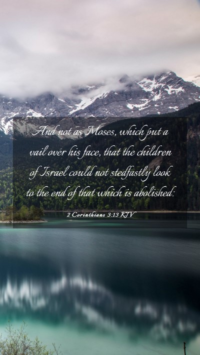 Picture 03 - 2 Corinthians 3:13 KJV Mobile Phone Wallpaper - And not as Moses, which put a vail over his face, - Mobile Bible Verse Wallpaper