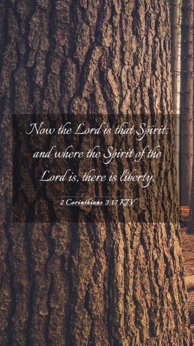 Picture 03 - 2 Corinthians 3:17 KJV Mobile Phone Wallpaper - Now the Lord is that Spirit: and where the Spirit - Mobile Bible Verse Wallpaper
