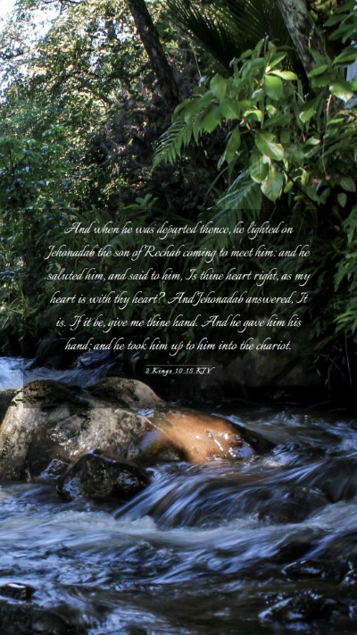 Picture 03 - 2 Kings 10:15 KJV Mobile Phone Wallpaper - And when he was departed thence, he lighted on - Mobile Bible Verse Wallpaper