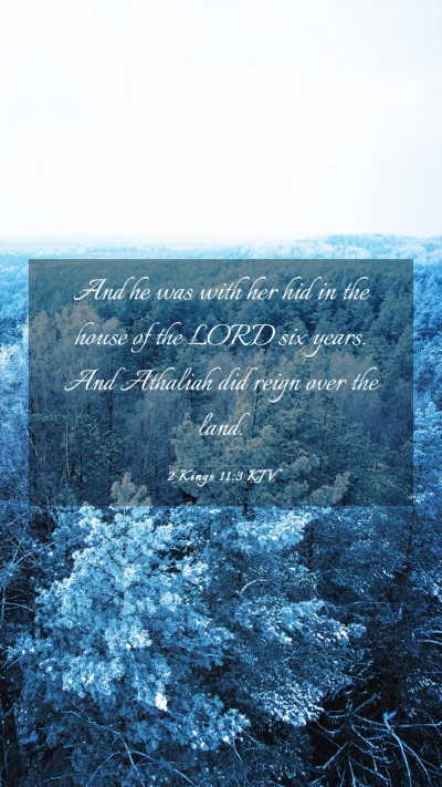 Picture 03 - 2 Kings 11:3 KJV Mobile Phone Wallpaper - And he was with her hid in the house of the LORD - Mobile Bible Verse Wallpaper