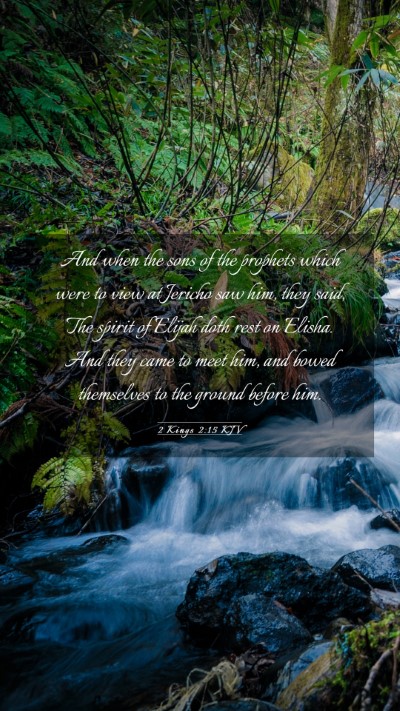 Picture 03 - 2 Kings 2:15 KJV Mobile Phone Wallpaper - And when the sons of the prophets which were to - Mobile Bible Verse Wallpaper