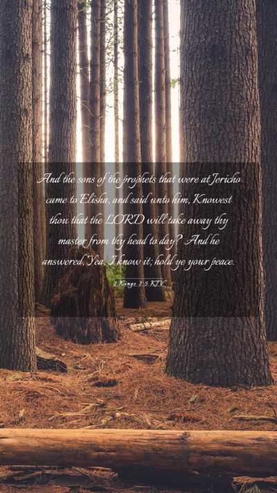 Picture 03 - 2 Kings 2:5 KJV Mobile Phone Wallpaper - And the sons of the prophets that were at Jericho - Mobile Bible Verse Wallpaper
