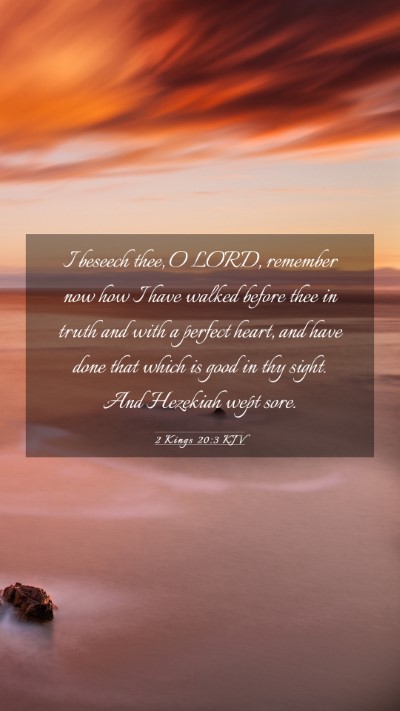 Picture 03 - 2 Kings 20:3 KJV Mobile Phone Wallpaper - I beseech thee, O LORD, remember now how I have - Mobile Bible Verse Wallpaper