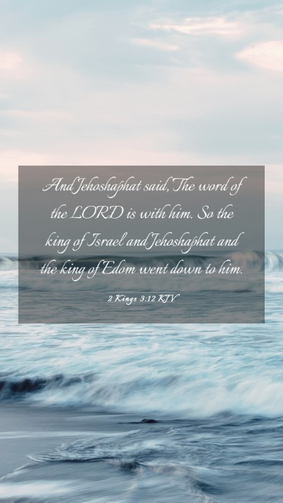 Picture 03 - 2 Kings 3:12 KJV Mobile Phone Wallpaper - And Jehoshaphat said, The word of the LORD is - Mobile Bible Verse Wallpaper