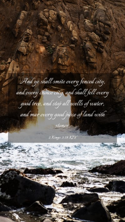 Picture 03 - 2 Kings 3:19 KJV Mobile Phone Wallpaper - And ye shall smite every fenced city, and every - Mobile Bible Verse Wallpaper