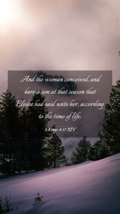 Picture 03 - 2 Kings 4:17 KJV Mobile Phone Wallpaper - And the woman conceived, and bare a son at that - Mobile Bible Verse Wallpaper