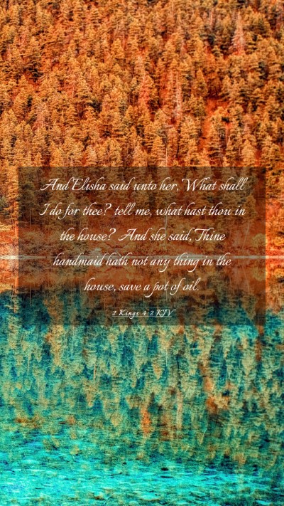Picture 03 - 2 Kings 4:2 KJV Mobile Phone Wallpaper - And Elisha said unto her, What shall I do for - Mobile Bible Verse Wallpaper