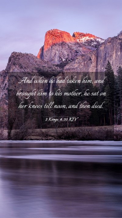 Picture 03 - 2 Kings 4:20 KJV Mobile Phone Wallpaper - And when he had taken him, and brought him to his - Mobile Bible Verse Wallpaper