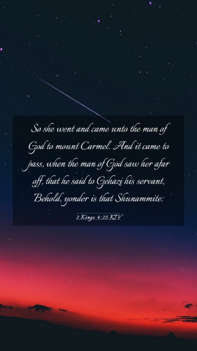 Picture 03 - 2 Kings 4:25 KJV Mobile Phone Wallpaper - So she went and came unto the man of God to mount - Mobile Bible Verse Wallpaper