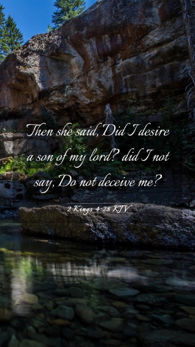 Picture 03 - 2 Kings 4:28 KJV Mobile Phone Wallpaper - Then she said, Did I desire a son of my lord? did - Mobile Bible Verse Wallpaper