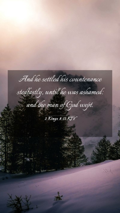 Picture 03 - 2 Kings 8:11 KJV Mobile Phone Wallpaper - And he settled his countenance stedfastly, until - Mobile Bible Verse Wallpaper
