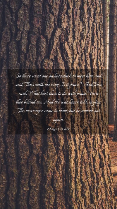 Picture 03 - 2 Kings 9:18 KJV Mobile Phone Wallpaper - So there went one on horseback to meet him, and - Mobile Bible Verse Wallpaper