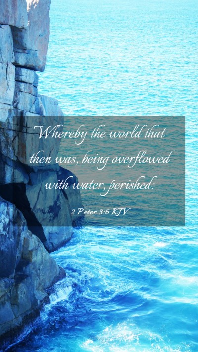 Picture 03 - 2 Peter 3:6 KJV Mobile Phone Wallpaper - Whereby the world that then was, being overflowed - Mobile Bible Verse Wallpaper
