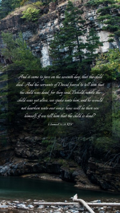 Picture 03 - 2 Samuel 12:18 KJV Mobile Phone Wallpaper - And it came to pass on the seventh day, that the - Mobile Bible Verse Wallpaper
