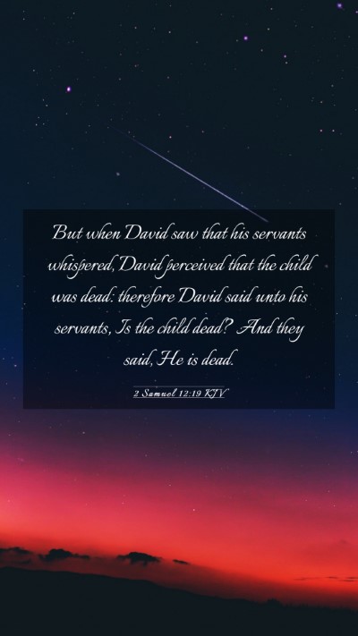 Picture 03 - 2 Samuel 12:19 KJV Mobile Phone Wallpaper - But when David saw that his servants whispered, - Mobile Bible Verse Wallpaper