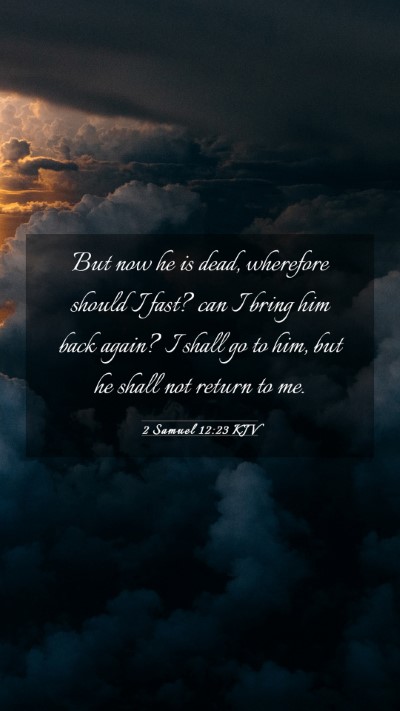 Picture 03 - 2 Samuel 12:23 KJV Mobile Phone Wallpaper - But now he is dead, wherefore should I fast? can - Mobile Bible Verse Wallpaper