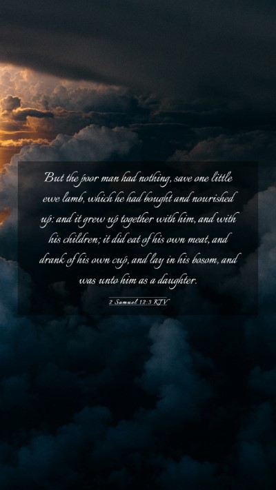 Picture 03 - 2 Samuel 12:3 KJV Mobile Phone Wallpaper - But the poor man had nothing, save one little ewe - Mobile Bible Verse Wallpaper