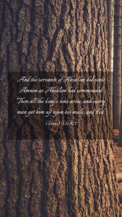Picture 03 - 2 Samuel 13:29 KJV Mobile Phone Wallpaper - And the servants of Absalom did unto Amnon as - Mobile Bible Verse Wallpaper