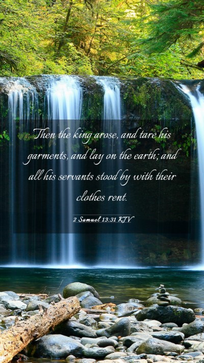 Picture 03 - 2 Samuel 13:31 KJV Mobile Phone Wallpaper - Then the king arose, and tare his garments, and - Mobile Bible Verse Wallpaper