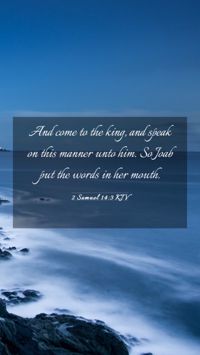 Picture 03 - 2 Samuel 14:3 KJV Mobile Phone Wallpaper - And come to the king, and speak on this manner - Mobile Bible Verse Wallpaper