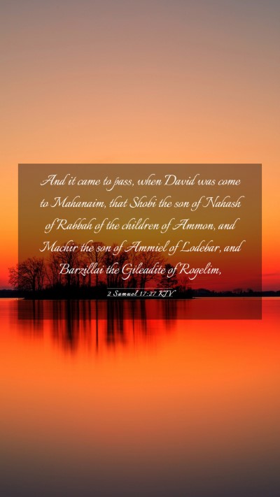 Picture 03 - 2 Samuel 17:27 KJV Mobile Phone Wallpaper - And it came to pass, when David was come to - Mobile Bible Verse Wallpaper