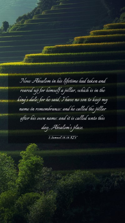 Picture 03 - 2 Samuel 18:18 KJV Mobile Phone Wallpaper - Now Absalom in his lifetime had taken and reared - Mobile Bible Verse Wallpaper