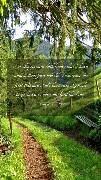Picture 03 - 2 Samuel 19:20 KJV Mobile Phone Wallpaper - For thy servant doth know that I have sinned: - Mobile Bible Verse Wallpaper