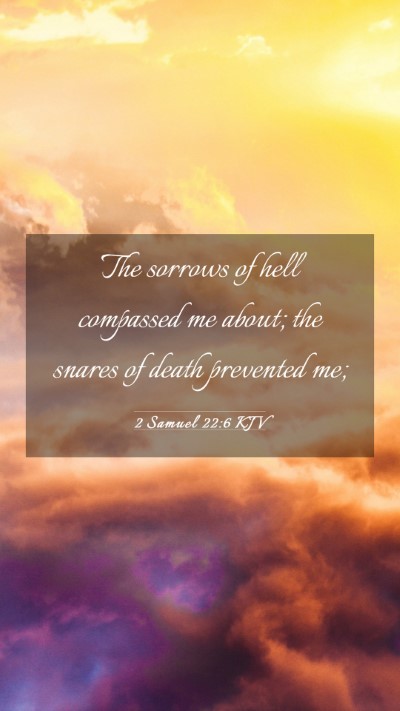 Picture 03 - 2 Samuel 22:6 KJV Mobile Phone Wallpaper - The sorrows of hell compassed me about; the - Mobile Bible Verse Wallpaper