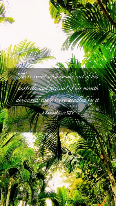 Picture 03 - 2 Samuel 22:9 KJV Mobile Phone Wallpaper - There went up a smoke out of his nostrils, and - Mobile Bible Verse Wallpaper