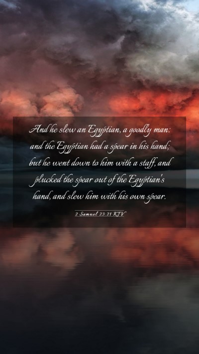 Picture 03 - 2 Samuel 23:21 KJV Mobile Phone Wallpaper - And he slew an Egyptian, a goodly man: and the - Mobile Bible Verse Wallpaper