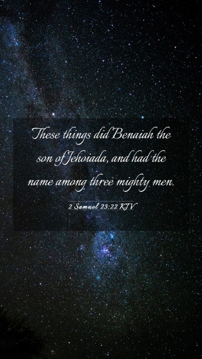Picture 03 - 2 Samuel 23:22 KJV Mobile Phone Wallpaper - These things did Benaiah the son of Jehoiada, and - Mobile Bible Verse Wallpaper